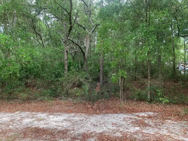 209 Highline Trail, ,, FL 32189