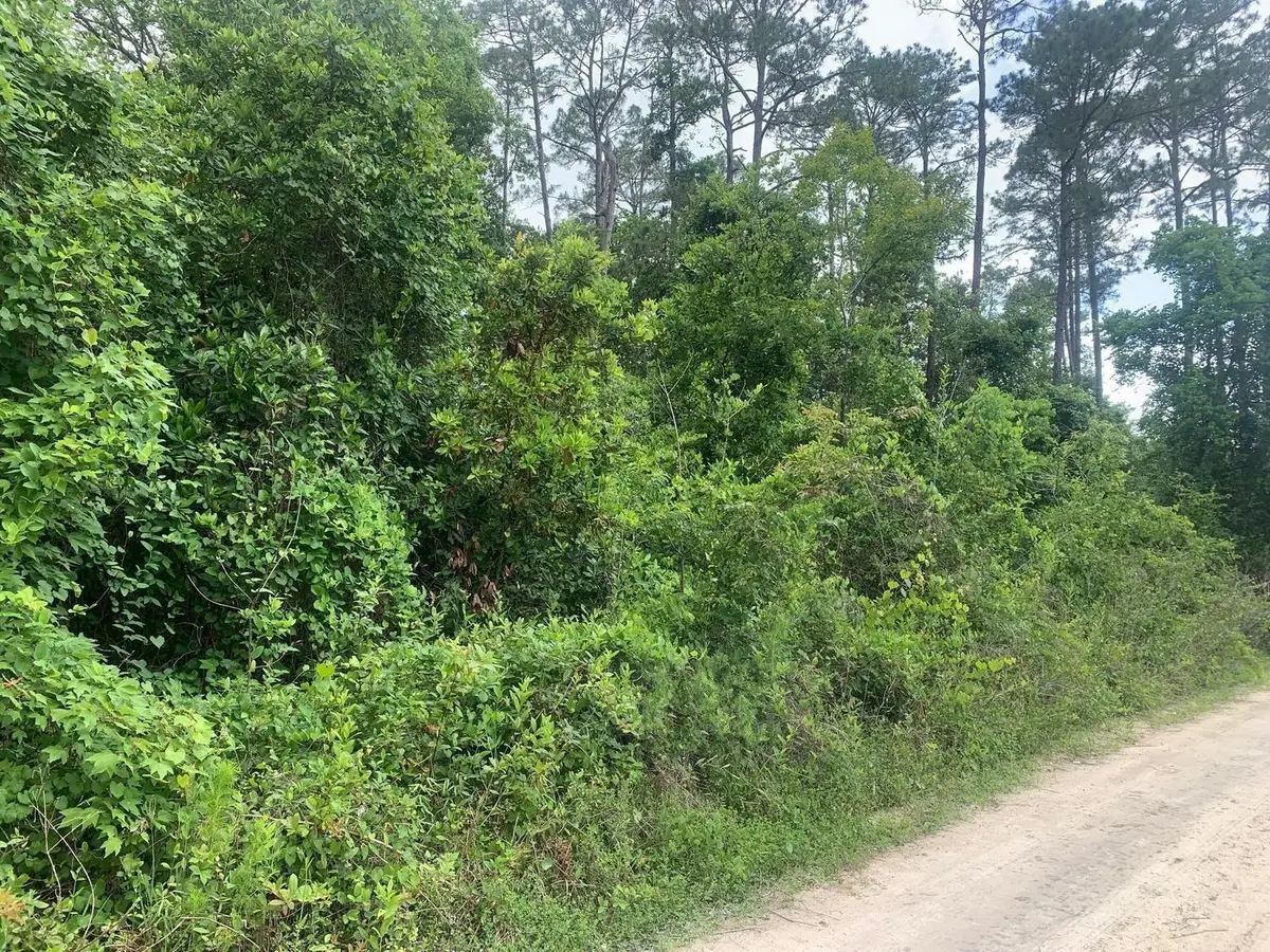 0 Coot Drive, Satsuma, FL 32189 - #1