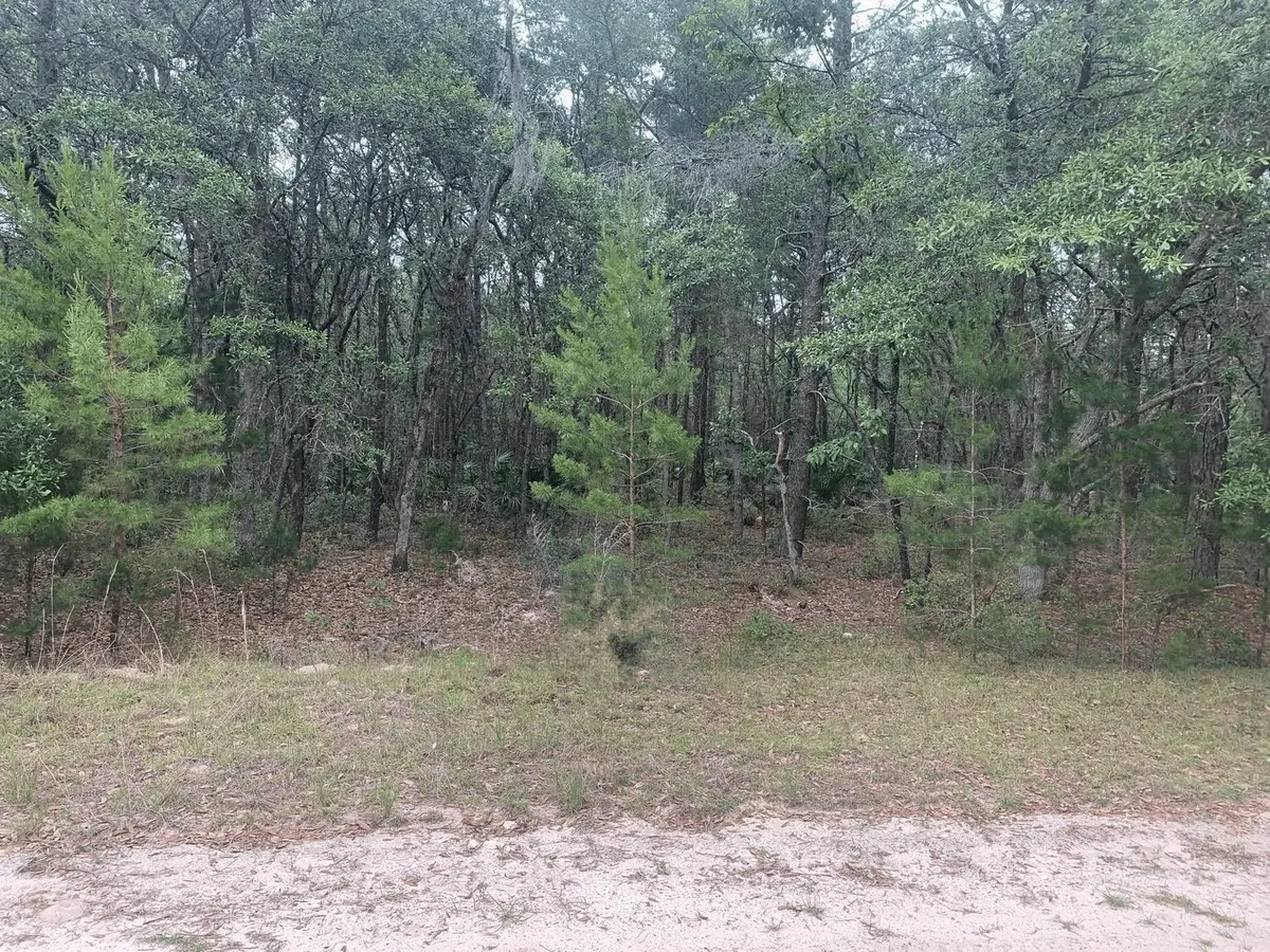 0 Huron, Interlachen, FL 32148 - #1
