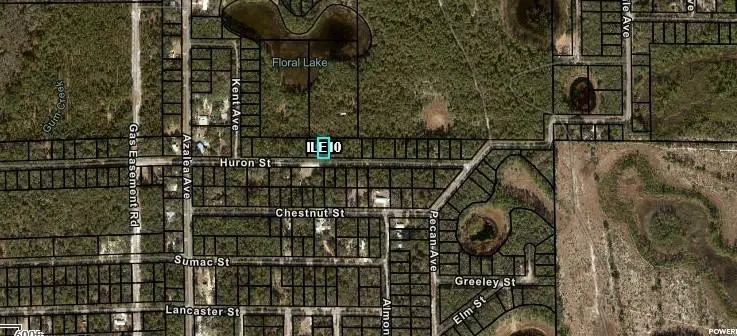 0 Huron, Interlachen, FL 32148 - #2