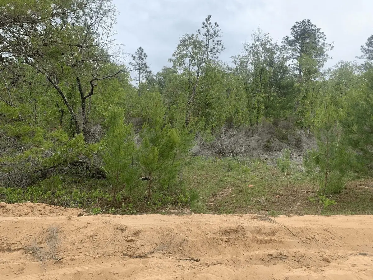 0 May Lane, Interlachen Florahome, FL 32148 - #1
