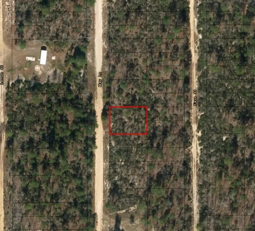 0 May Lane, Interlachen Florahome, FL 32148 - #2