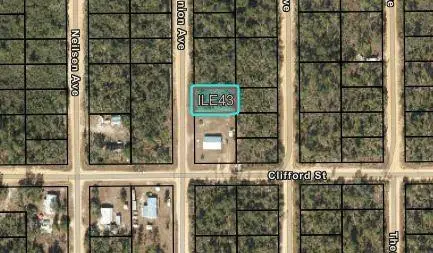204 Usina Avenue, Interlachen Florahome, FL 32148 - #3