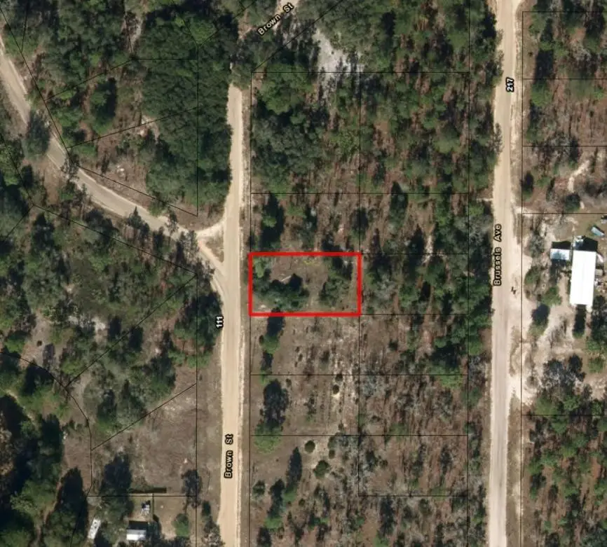 110 Brown Street, Interlachen Florahome, FL 32148 - #2