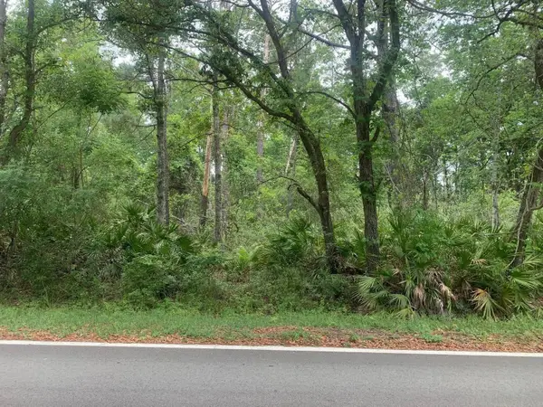 0 Theresa Avenue, ,, FL 32148