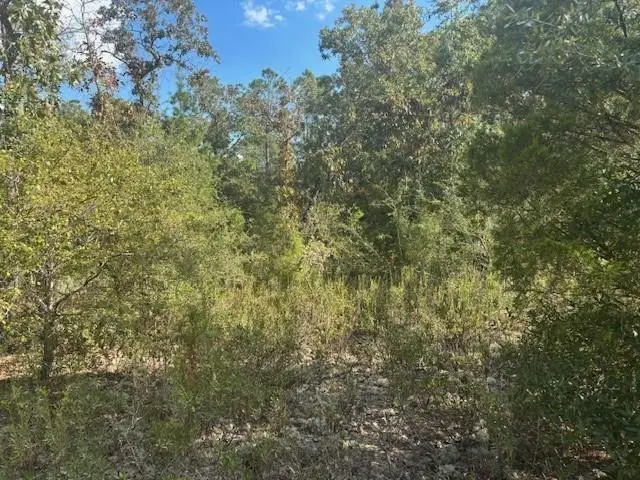0 Nezperce Drive, Alford, FL 32420 - #2