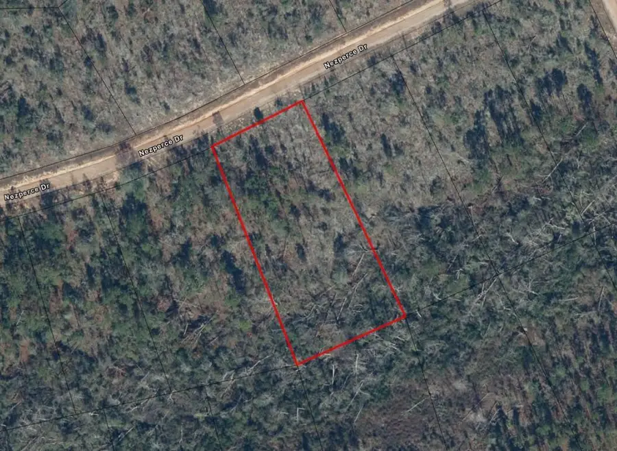 0 Nezperce Drive, Alford, FL 32420 - #3