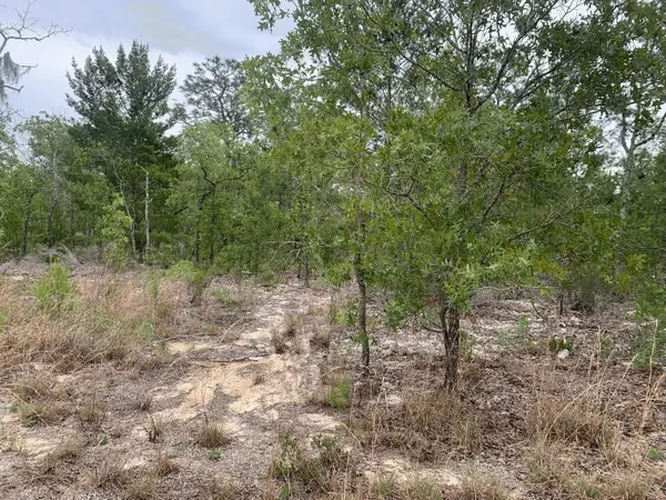 0 Gray Street, ,, FL 32148