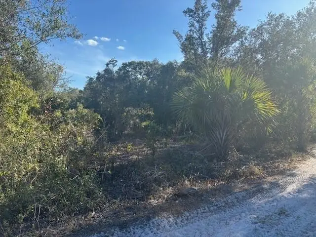 0 296th Street, Okeechobee, FL 34972 - #1