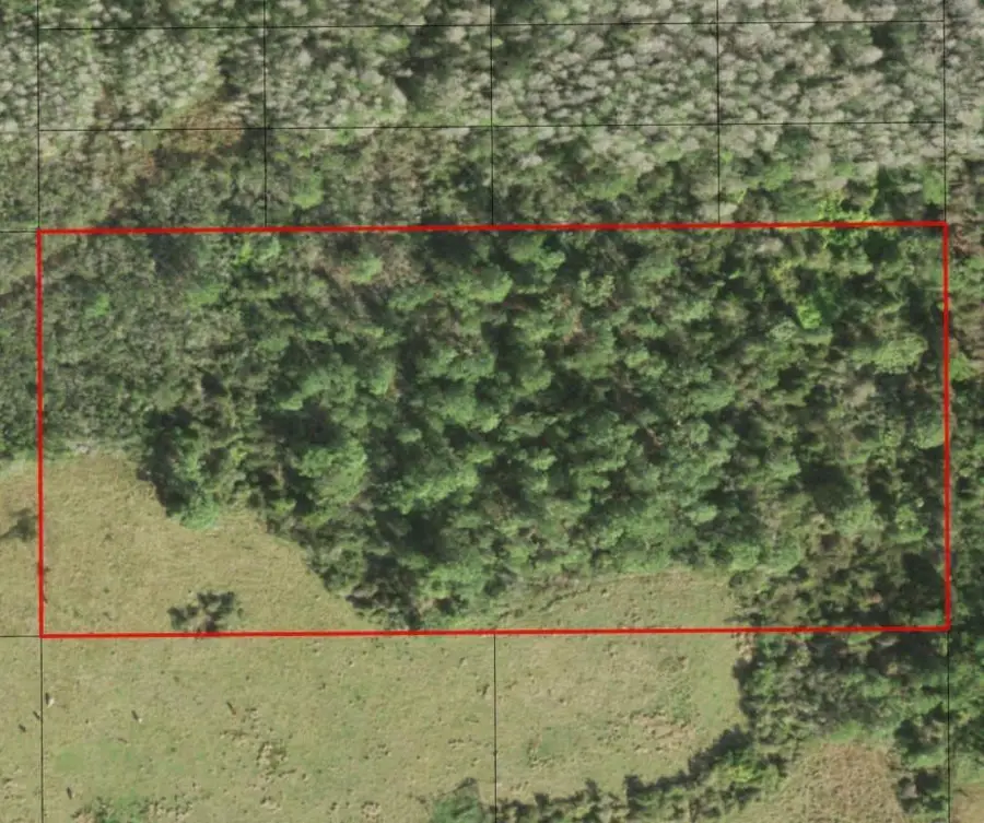 0 Holopaw Groves Road, South And East Osceola, FL 34772 - #2