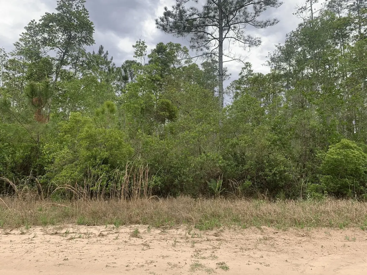 0 W Basford Street, Interlachen Florahome, FL 32148 - #1