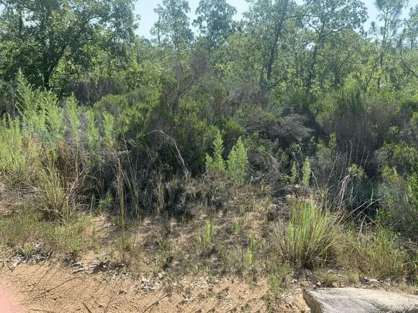 214 Marion Trail, ,, FL 32148