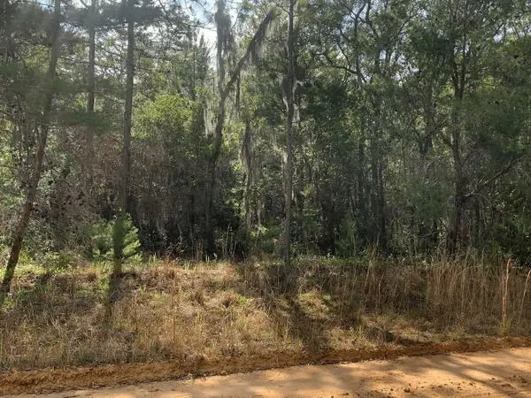 0 Shappell Avenue, ,, FL 32148