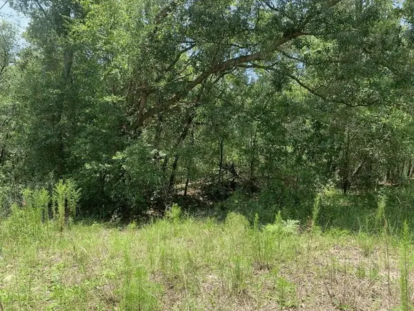 0 Oklahoma Avenue, ,, FL 32189
