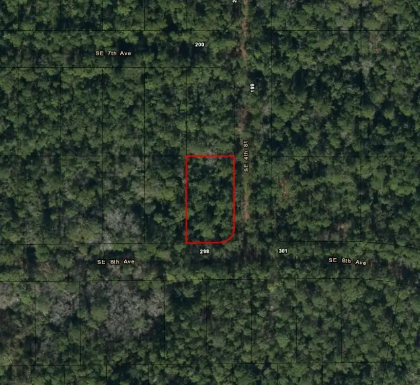 0 SE 8th Avenue, Palatka, FL 32177 - #2