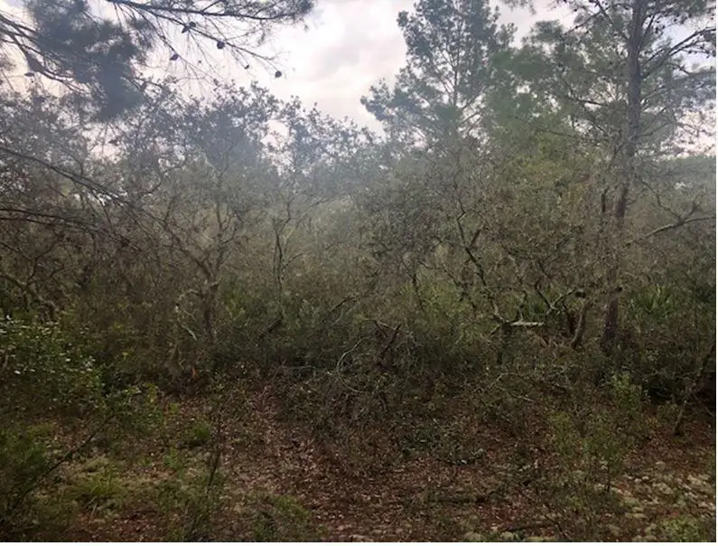 0 Alturas Babson Park Cutoff Road, Lake Wales, FL 33859 - #2