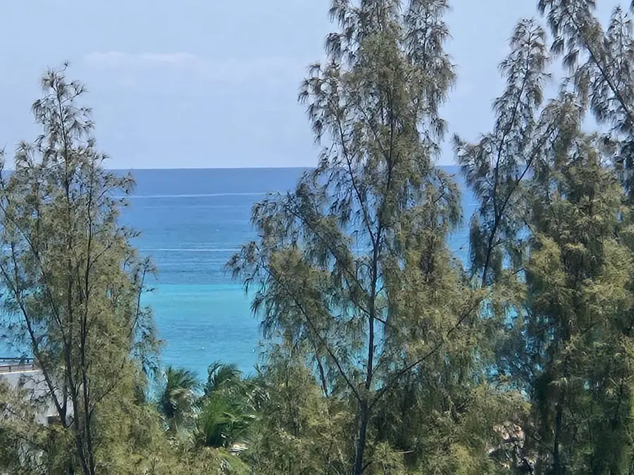 3000 Holiday Drive #1104, Fort Lauderdale, FL 33316 - #3