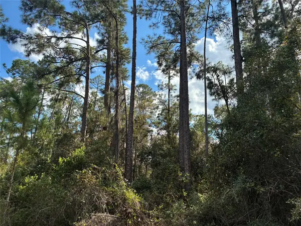 Lot 15 Park Avenue, ,, FL 33855