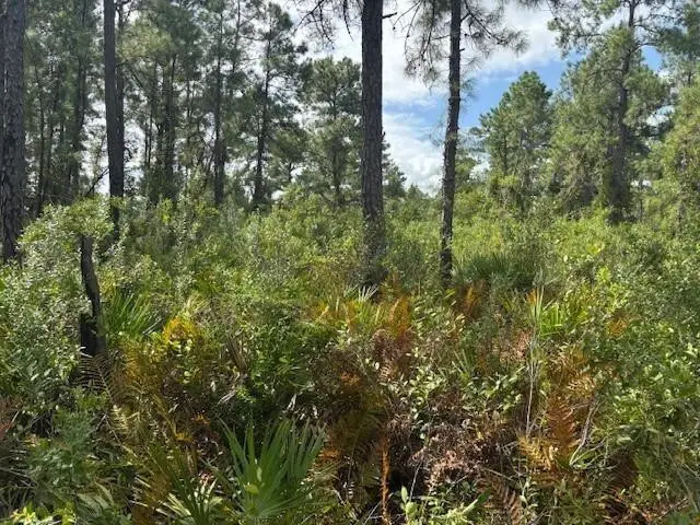 0 Hwy 630e, Frostproof, FL 33843 - #1