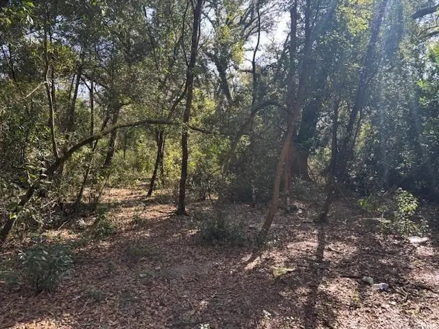 0 County Rd 54, Kathleen, FL 33849 - #1