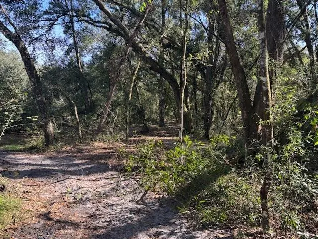 0 County Rd 54, Kathleen, FL 33849 - #2