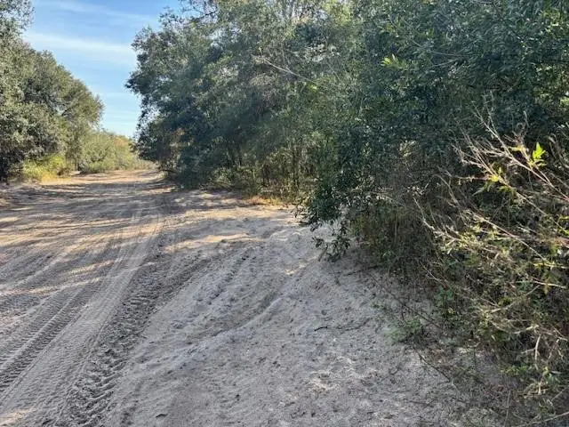 0 County Rd 54, Kathleen, FL 33849 - #3