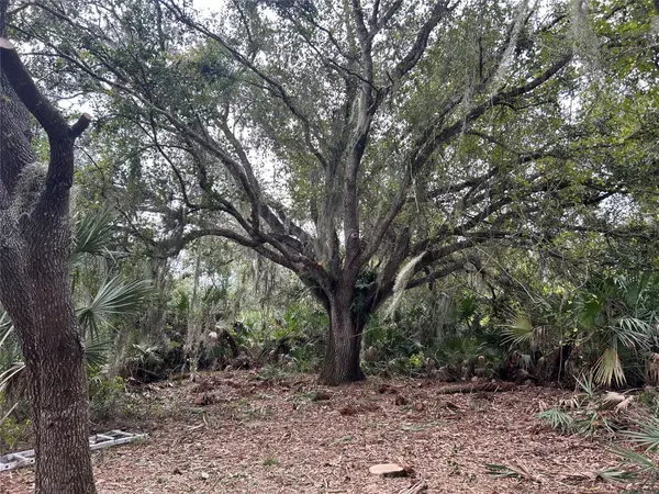 0 298th Street, Okeechobee, FL 34972