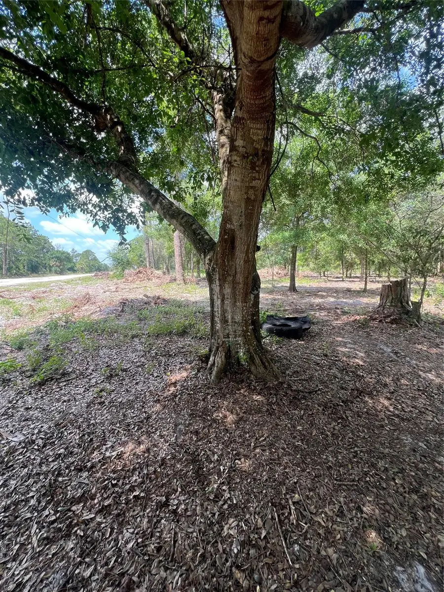 681 N Perimeter Road, Clewiston, FL 33440 - #3
