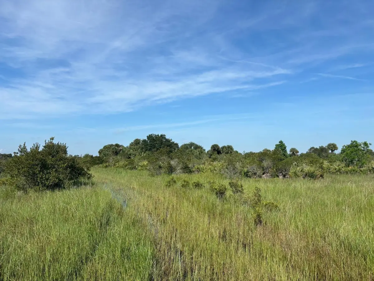 0 NW 308th Street, Okeechobee, FL 34972 - #1