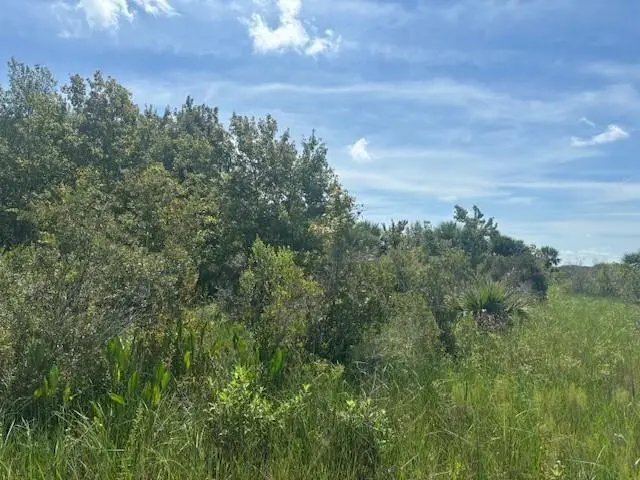 0 NW 310th Street, Okeechobee, FL 34972 - #1