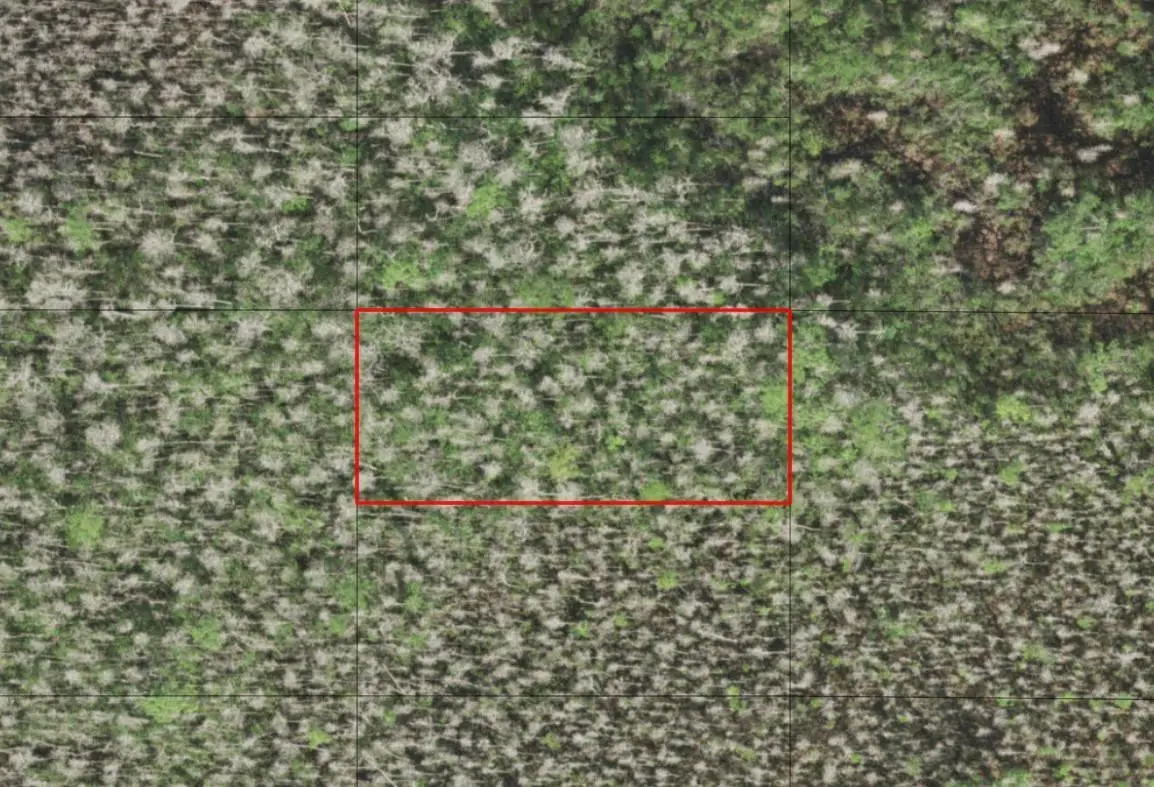 0 Holopaw Groves Road, South And East Osceola, FL 34772 - #1