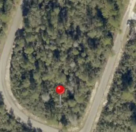 TBD FISHER WAY TRACK Tbd Fisher Way Track Fisher Way, Silver Springs Shores East, FL 32179 - #1