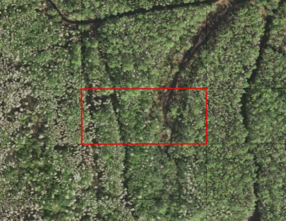 0 Holopaw Groves Road, South And East Osceola, FL 34772 - #1