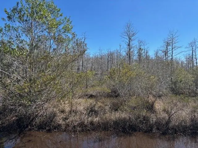 0 Holopaw Groves Road, South And East Osceola, FL 34772 - #1
