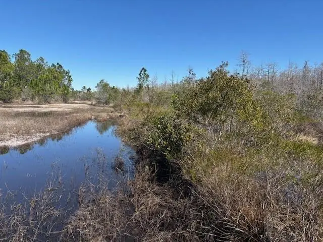 0 Holopaw Groves Road, South And East Osceola, FL 34772 - #2
