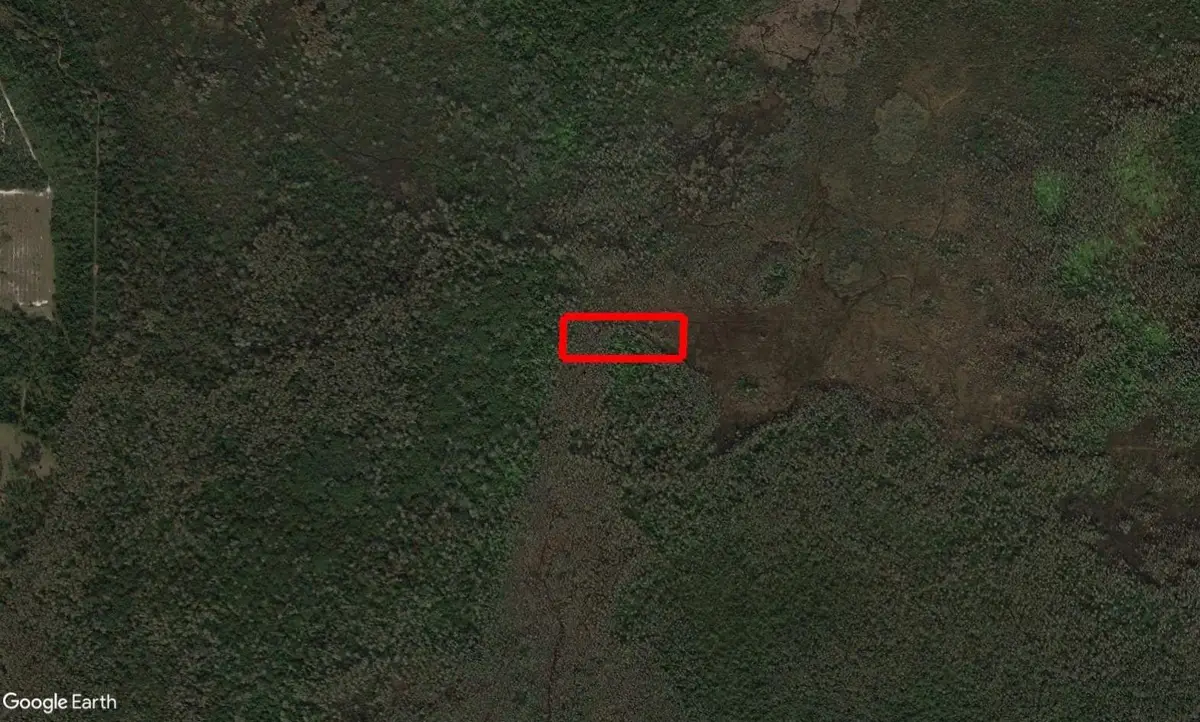 0 Holopaw Groves Road, South And East Osceola, FL 34772 - #1