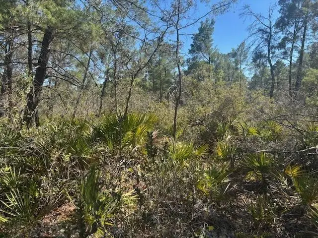 10681 Interlacher Drive, Sebring, FL 33852 - #1
