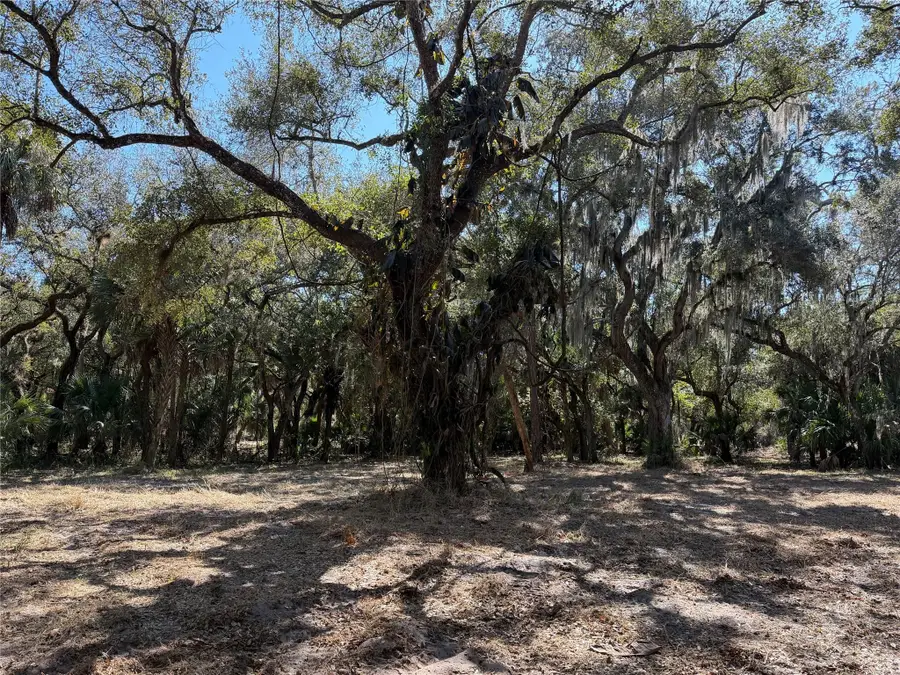 Tbd SE 40th Avenue, Okeechobee, FL 34974 - #3