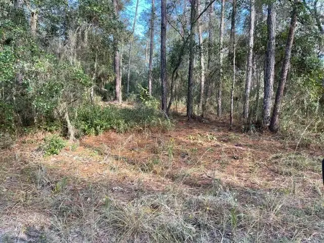 417 Incline, Satsuma, FL 32189 - #1