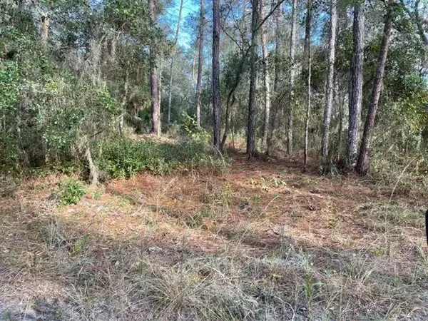 417 Incline, ,, FL 32189
