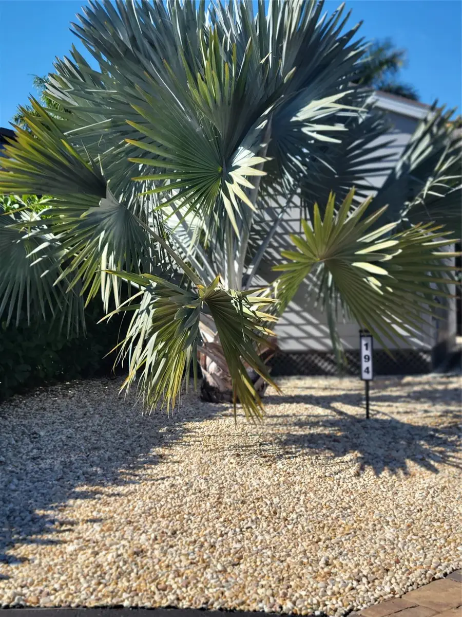 3603 7th Path, Okeechobee, FL 34974 - #2