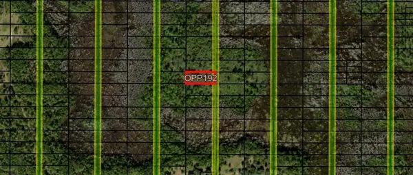 0 Old Grade Road, ,, FL 33868