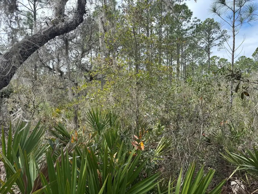 0 Old Grade Road, Polk City, FL 33868 - #2