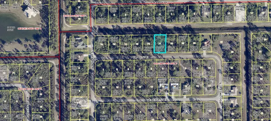1113 Capri Street E, Lehigh Acres, FL 33974 - #3