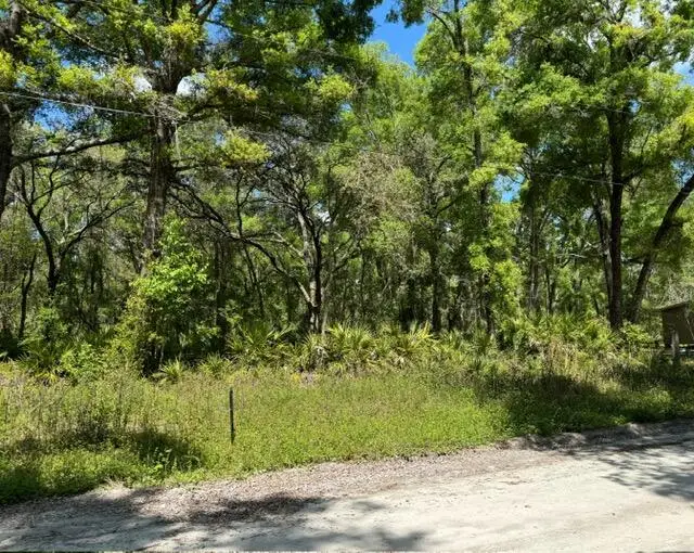 Tbd NE 472nd Avenue, Cross City North, FL 32680 - #1