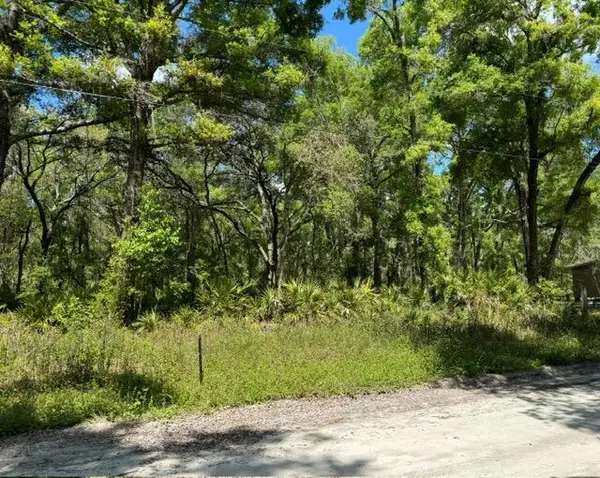 Tbd NE 472nd Avenue, ,, FL 32680
