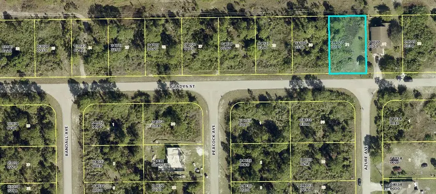 1045 Gladys Street, Lehigh Acres, FL 33974 - #2
