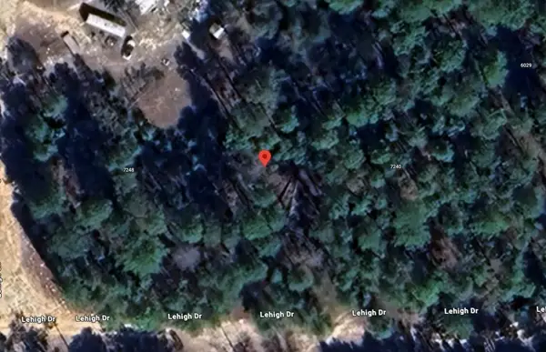 7244 Lehigh Drive, ,, FL 32656