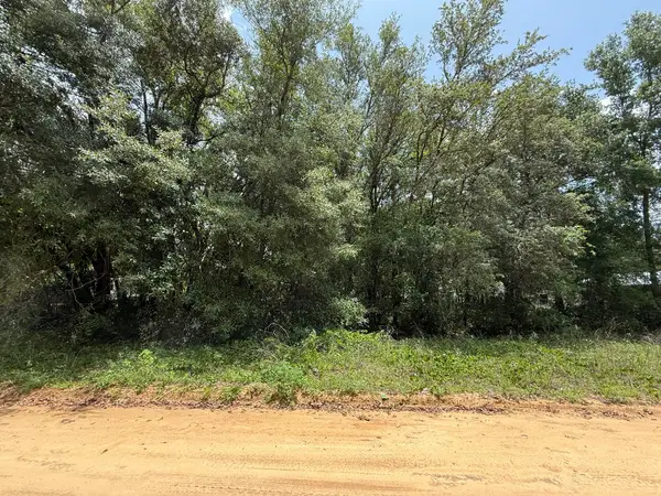604 Kitty Avenue, ,, FL 32148