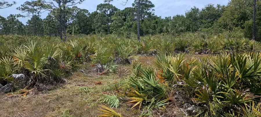 000 None, Grant Valkaria, FL 32950 - #2